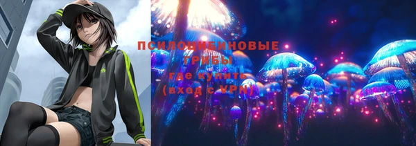 шишки Абаза