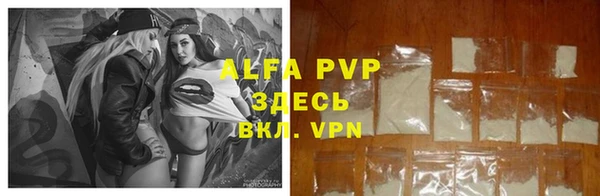 шишки Абаза