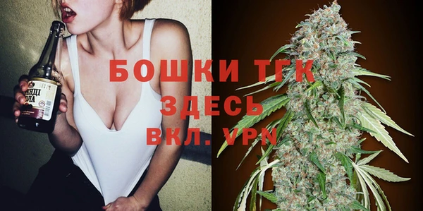 шишки Абаза