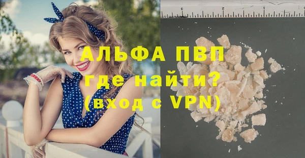 шишки Абаза