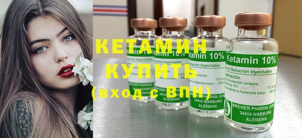 шишки Абаза