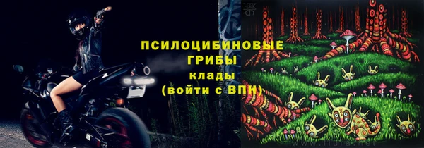 шишки Абаза