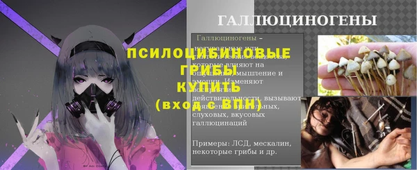 шишки Абаза