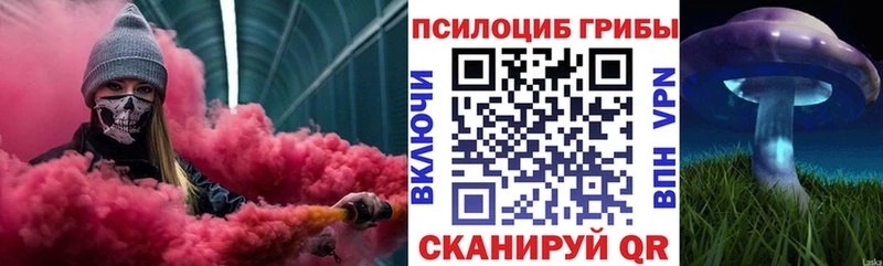 купить Батайск Псилоцибиновые грибы мицелий